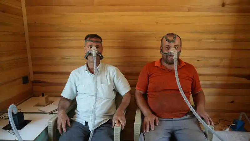 Alerji ve Astım İle Mücadelede Doğanın Gücü: Şifayı Bulmanın Yolları