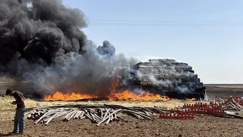 Mardin'de Korkutan Anız Yangını: Tarım Alanları ve Canlı Elma Ağaçları Tehlikede