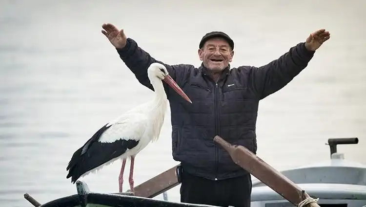 Doğa Fotoğrafçısı Alper Tüydeş'ten Yaren Leylek Açıklaması: Yuva Çevrimiçi Yayında!