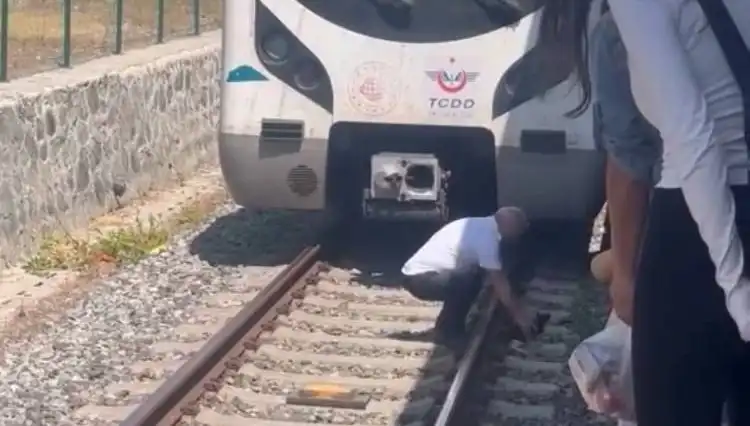 Marmaray Makinistinin İnanılmaz Refleksi: Raylardaki Kediyi Fark Edip Treni Durdurdu