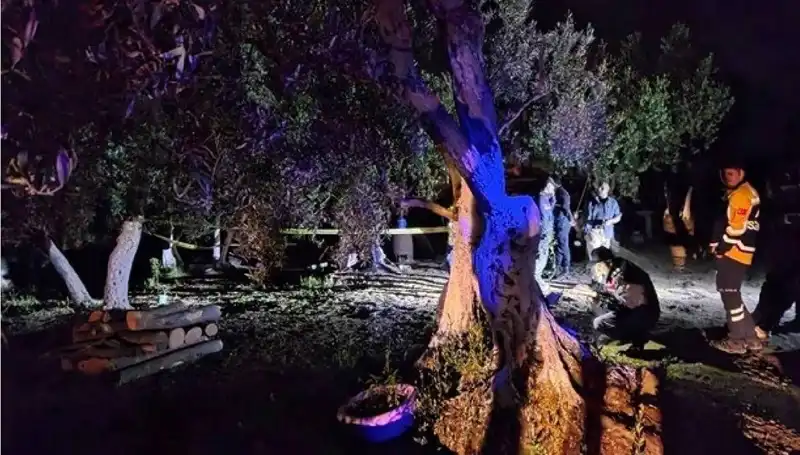 Çiftlikte Baltalı Vahşet: Yaşanan Olayın Ardındaki Karanlık Gerçekler