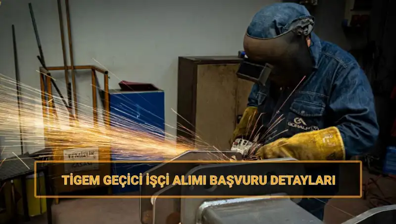 Tarım İşletmeleri Genel Müdürlüğü 306 Geçici İşçi Alımı İçin Başvuru Süreci
