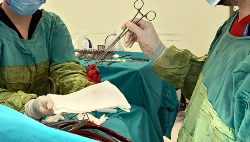 Kalp Kapağı Çürüyen Hasta İçin 7 Saatlik Mucizevi Ameliyat