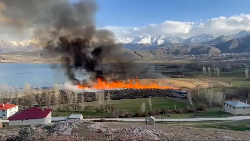 Kuş Cennetinde Yangın! Doğa Severler Şokta
