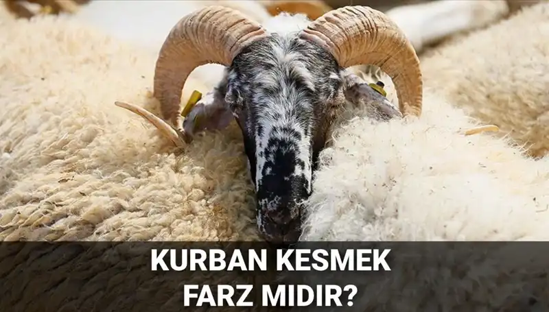 Kurban Kesmek Farz mı? İşte Diyanet’in Açıklamaları ve Şartları