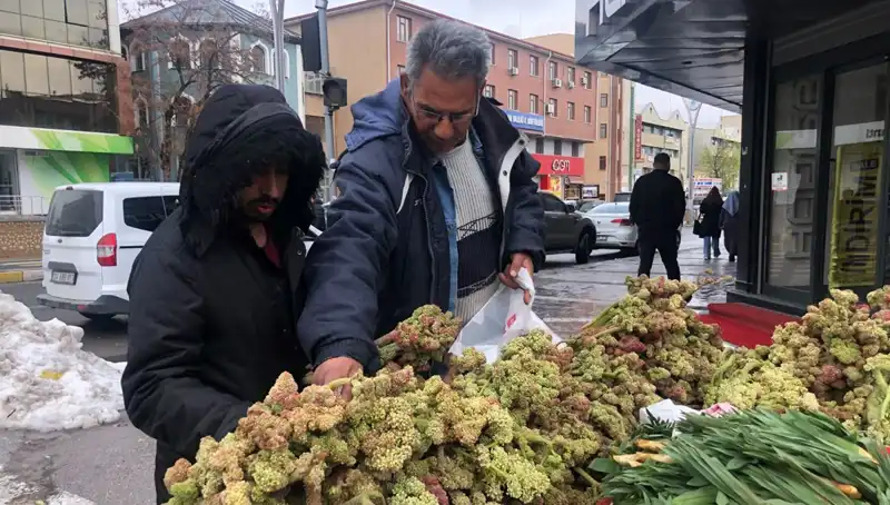 Kendiliğinden Yetişen Vitamin Deposunun İnanılmaz Faydaları: Kanserle Mücadelede Yeni Umut