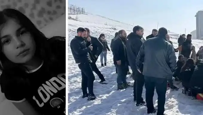 Yüksekova'da Köpek Saldırısı: Eslem'in Ölümü ve Başkanlık Soruşturması