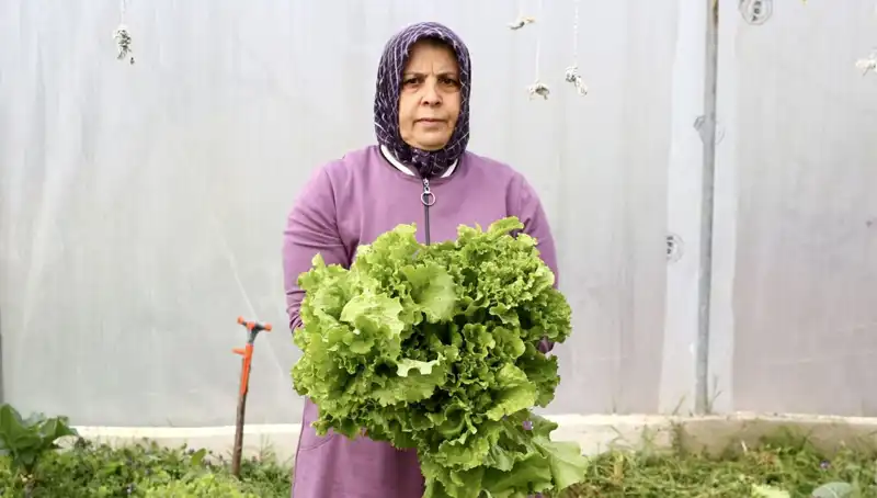 Emekli Olunca Hayalini Gerçekleştirdi: Devlet Desteğiyle Yeni Bir Başlangıç