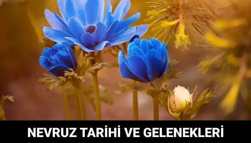 Nevruz Bayramı: Geleneği, Kutlamaları ve Anlamı ile 2024 Takvimi