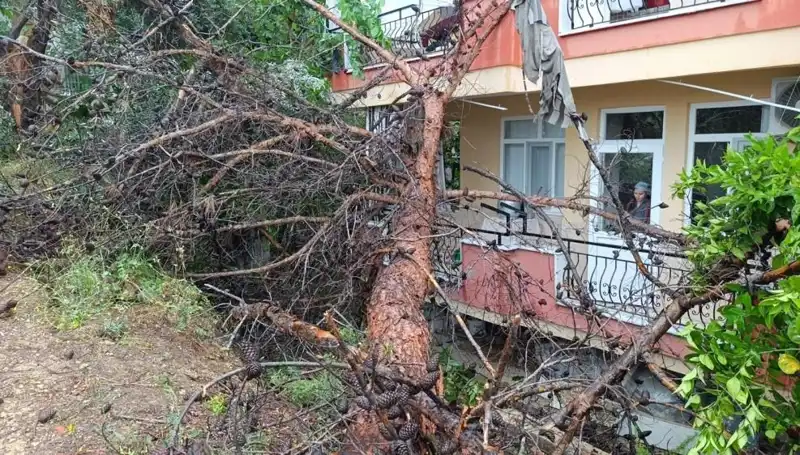 Yağmurun Gücü: Binanın Çöküşü Şehirde Panik Yarattı