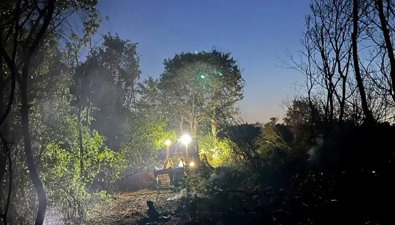Edirne'deki Orman Yangını Kontrol Altına Alındı: Doğa Yeniden Canlanacak