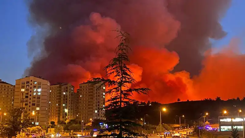 Bursa’da Yangınlar Şehri Sardı: Nedenleri ve Son Gelişmeler