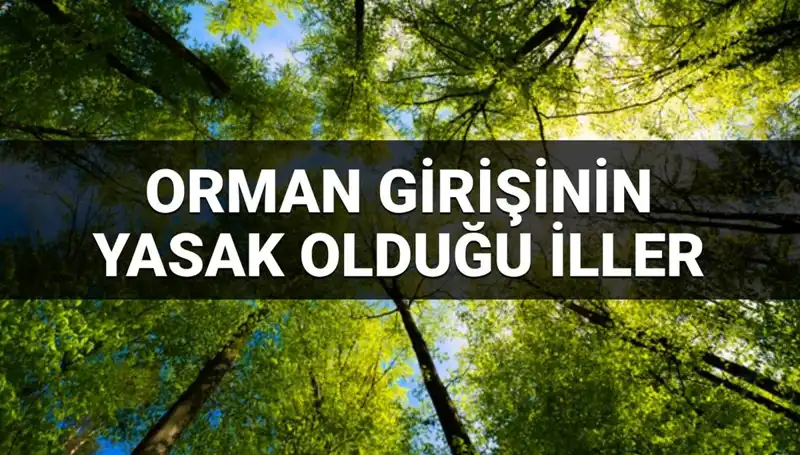 2025 Yılı İçin Hangi İllerde Ormana Girmek Yasak?