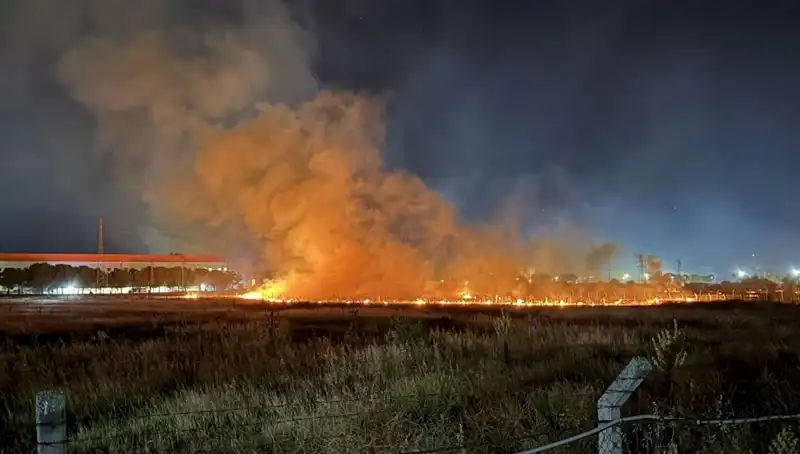 İzmir'de Gece Yarısı Yangın Paniği: Hayvanat Bahçesi ve Çevresi Tehdit Altında