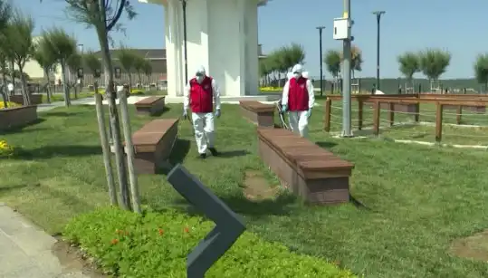 Kene Tehdidi Artıyor: Halka Açık Alanlar İçin İlaçlama Başladı