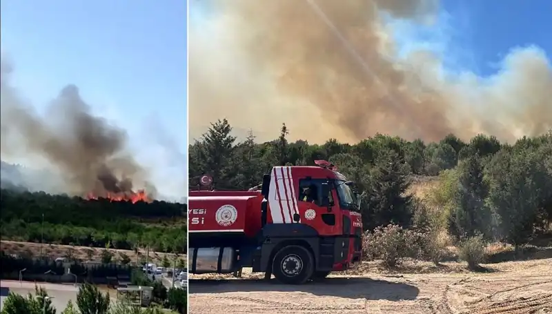 Gebze’deki Orman Yangını: Doğa ve Belediye Ekipleri Seferber Oldu