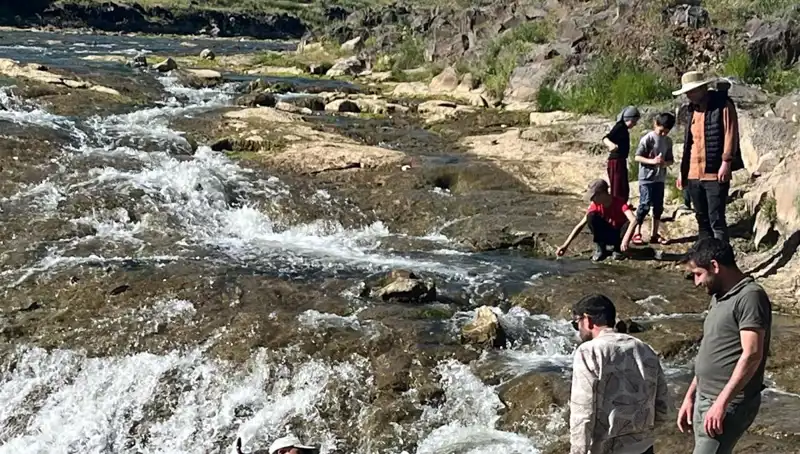 İnci Kefali Göçü: Doğanın Büyüleyici Yolculuğu Turistleri Ceziyordu