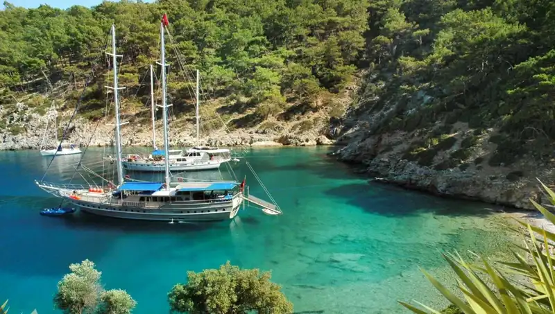 Yüzde Yüz Keşif: Google’da En Çok Aranan Tatil Yerleri Açıklandı!