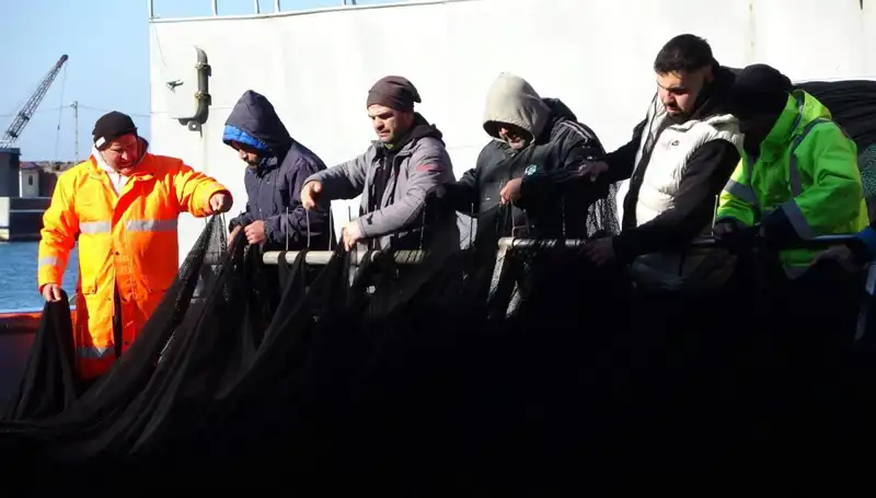 Hamsi Avında Şok Gelişme: Tekneler Erken Evlerine Döndü!