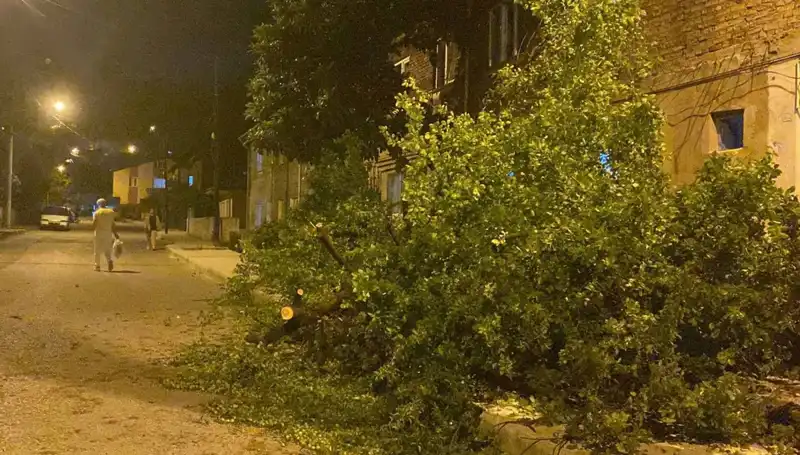 Karabük'te Şiddetli Fırtına: Hasar ve Panik Havası