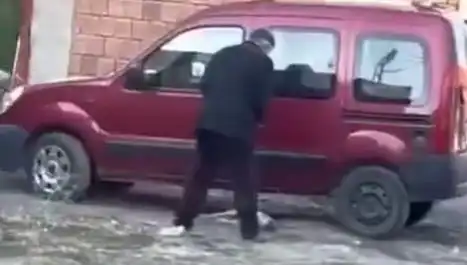 Sokak Ortasında Şiddete Uğrayan Köpeğin Dramı: Toplum ne Yapmalı?
