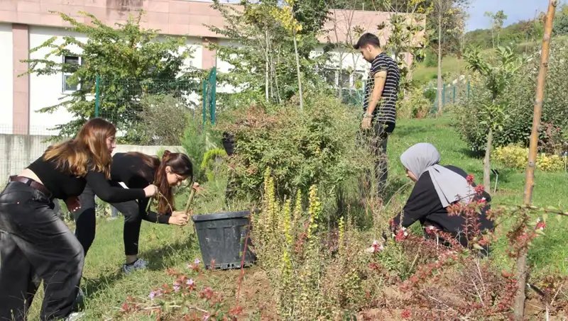 Kökleri Düzce'de, Dünya Çapında Tanınan Başarı Hikayesi