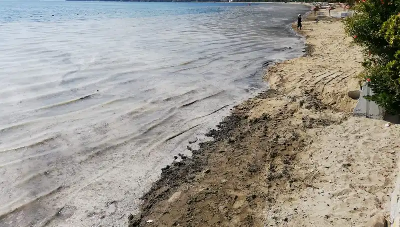 Müsilajla Mücadelede Yeni Gelişme: 268 İşletme Faaliyetine Son Verildi!