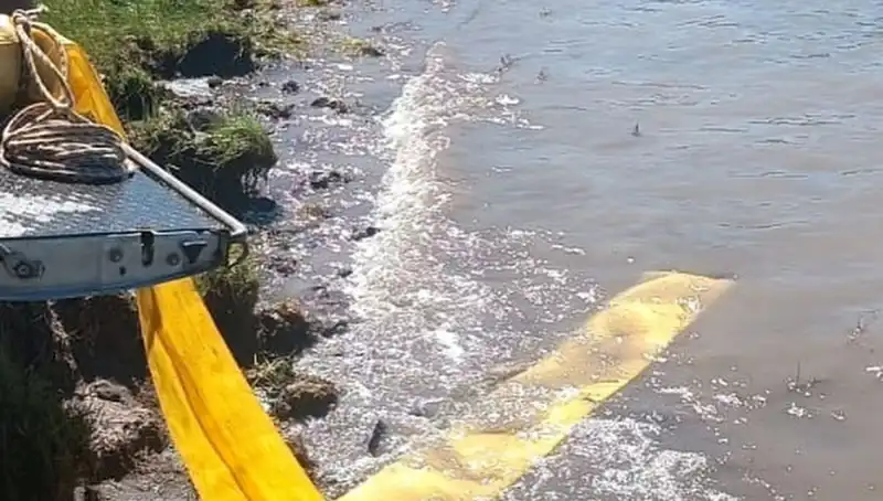 Yeni Göletlere Yavru Balıkların Bırakılması Doğanın Dengesini Sağlıyor